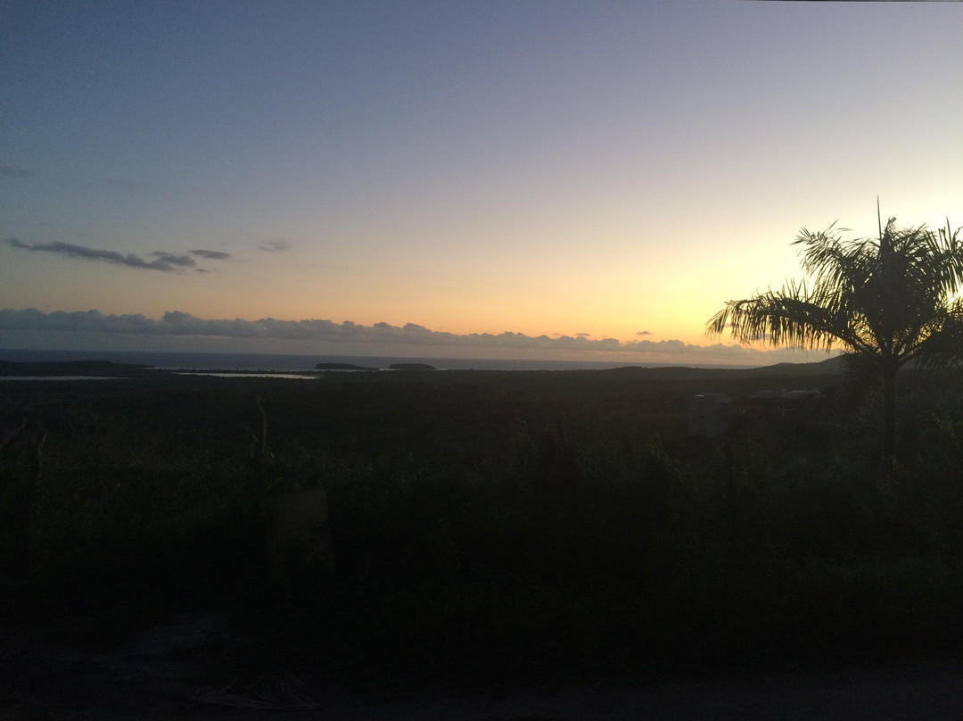 Isla Vida景点图片