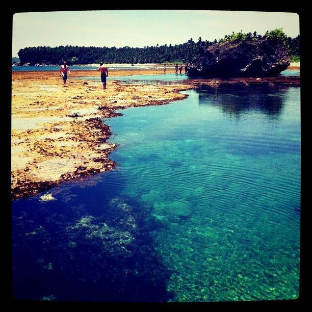 民答那峨岛酒店住宿-Greenhouse Siargao