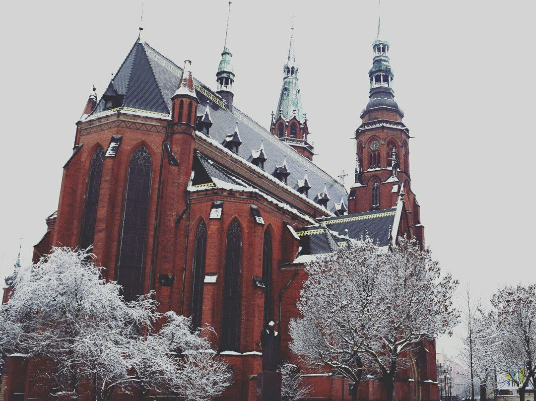 Katedra Legnicka Swietych Apostołow Piotra i Pawła景点图片