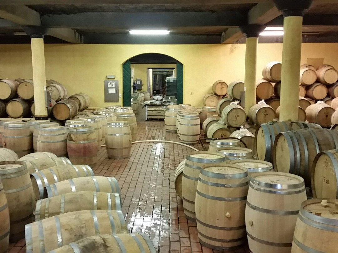 Vrede & Lust B&B主图