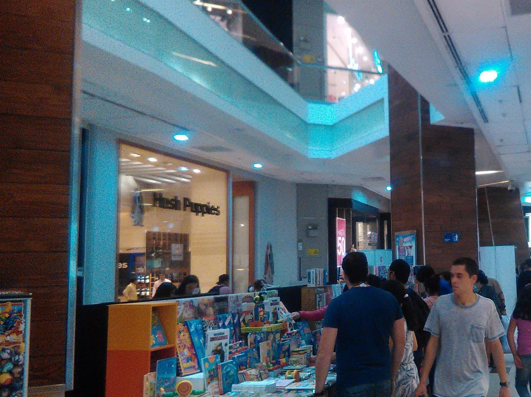 Mall del Centro Concepción-康塞普西翁必去景点