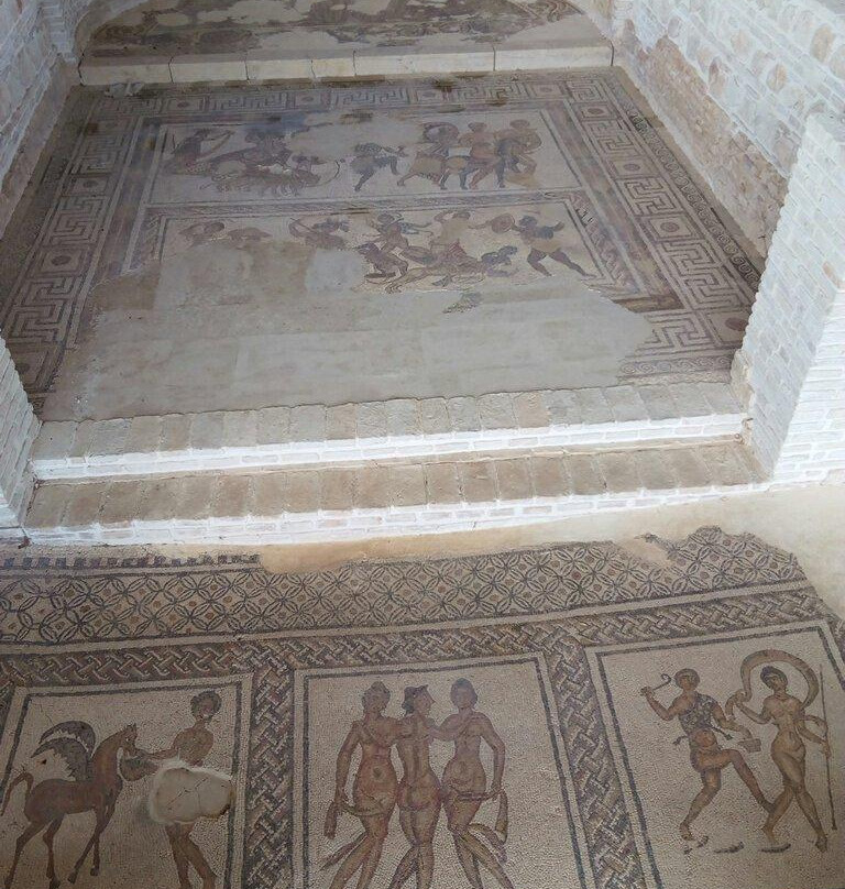 Villa Romana de Fuente Alamo景点图片