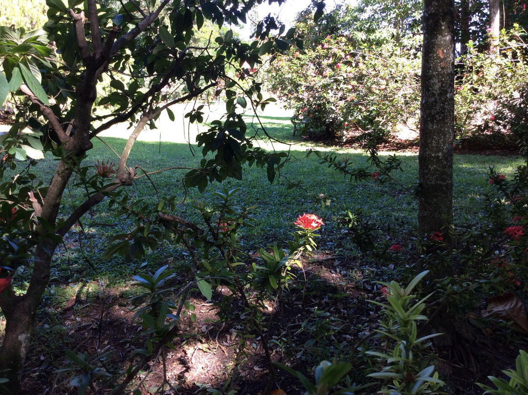 The Enchanted Gardens, Bird Aviary, and Waterfall-奥乔里奥斯必去景点