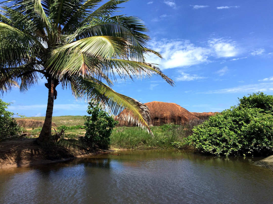 São José da Coroa Grande旅游攻略图片