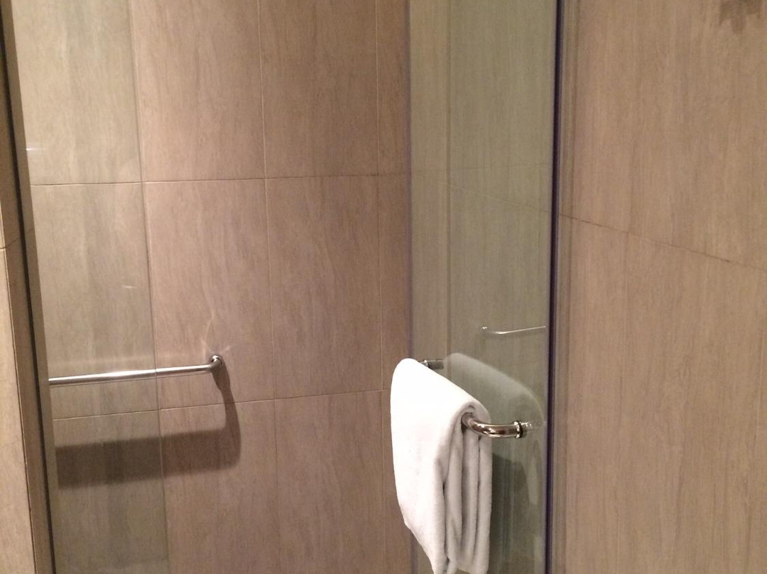 Plaza Premium Lounge (International Departures, Terminal 1)-新加坡必去景点