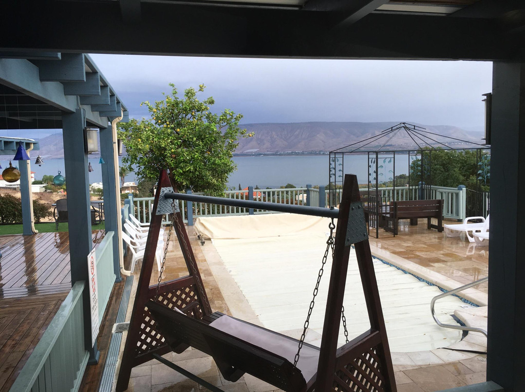 Kinneret Zimmer's主图