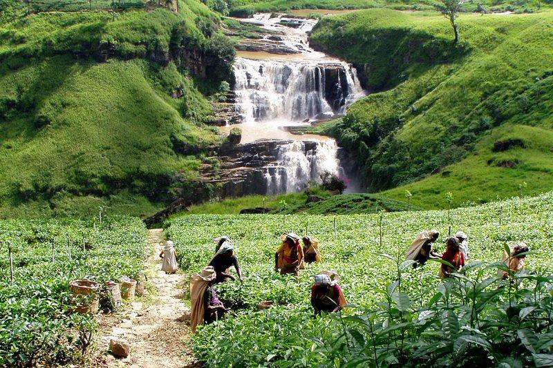 Sri Lanka Explorer-瓦都瓦必去景点