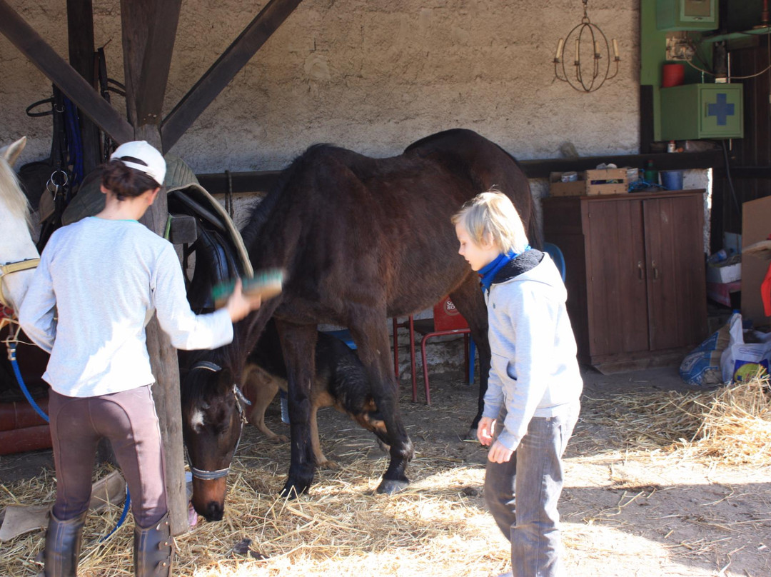 Equivicentinos-Vila do Bispo必去景点