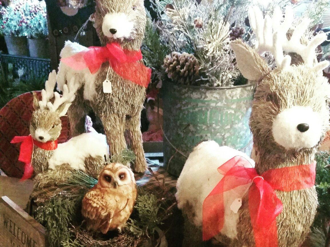 Brown & Hopkins Country Store-Chepachet必去景点