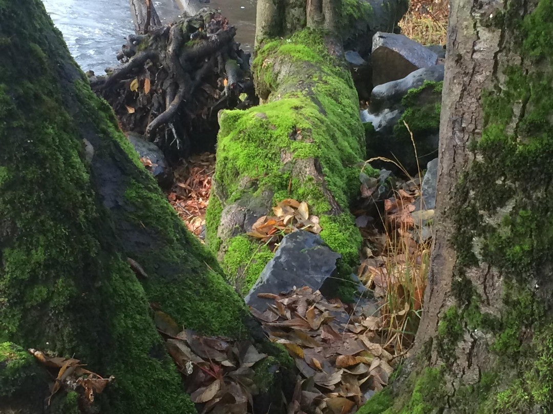 Valley of the Rogue State Park-Gold Hill必去景点