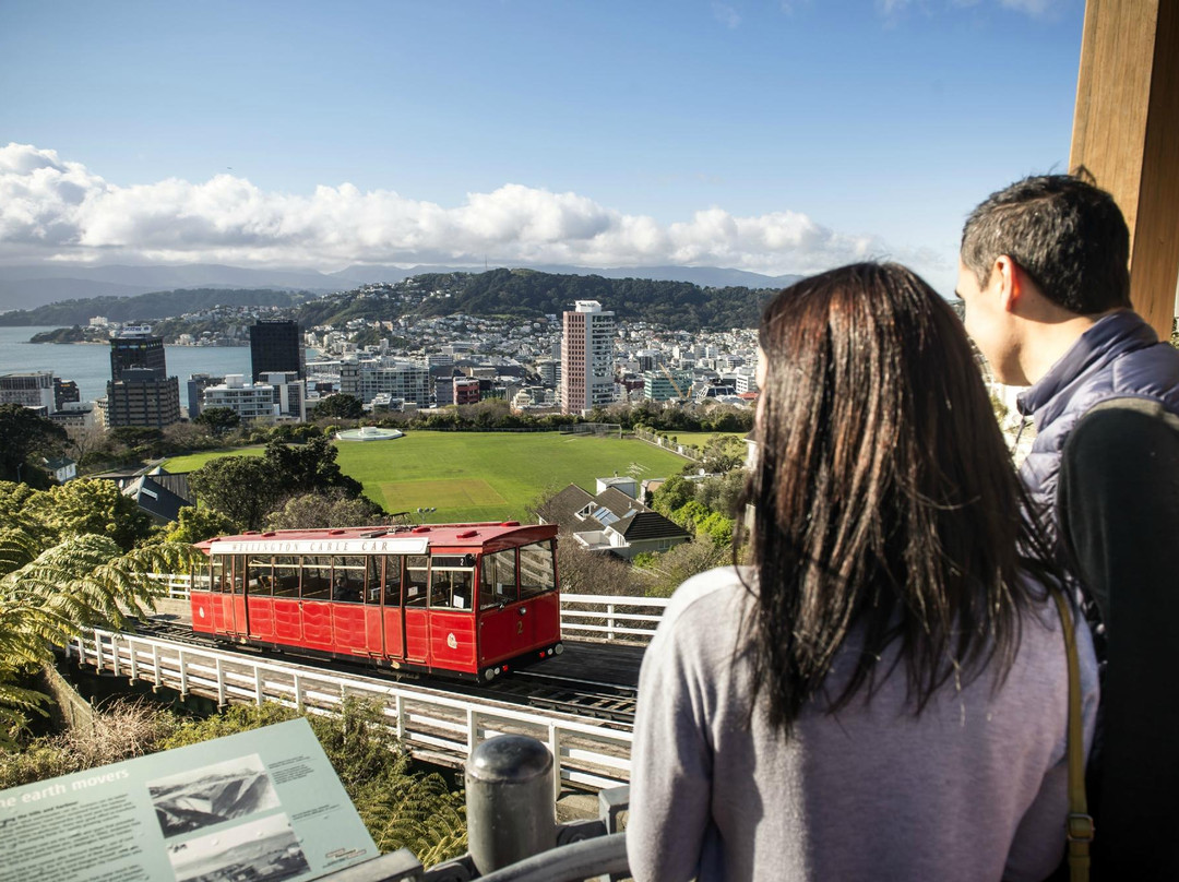 Hammonds Wellington Tours景点图片