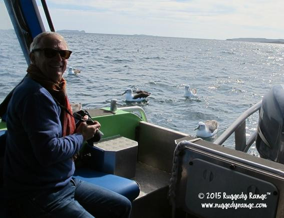 Aihe Wildlife Cruises & Water Taxi景点图片