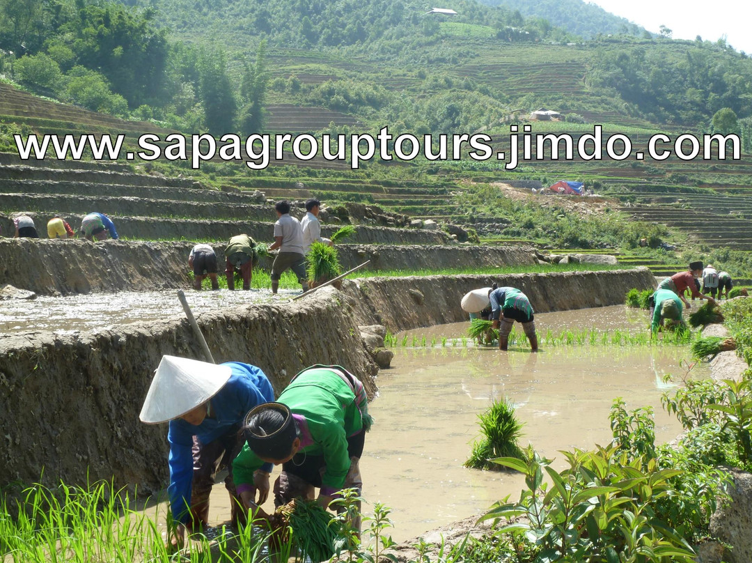 Sapa Tour景点图片