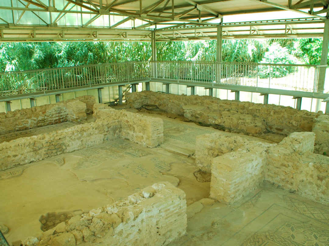 Skala旅游景点-Roman Villa of Skala