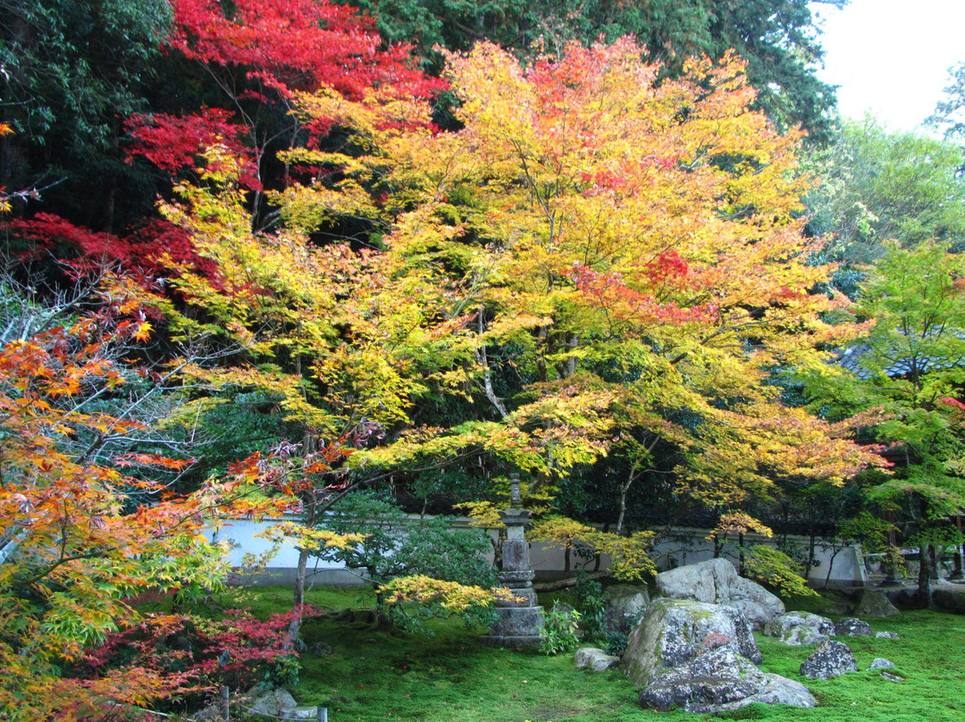 Sukyoji Temple - Takuanji Temple-丰冈市必去景点