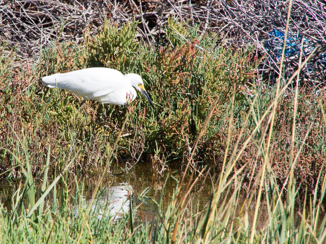 Gunpowder Point-丘拉维斯塔必去景点