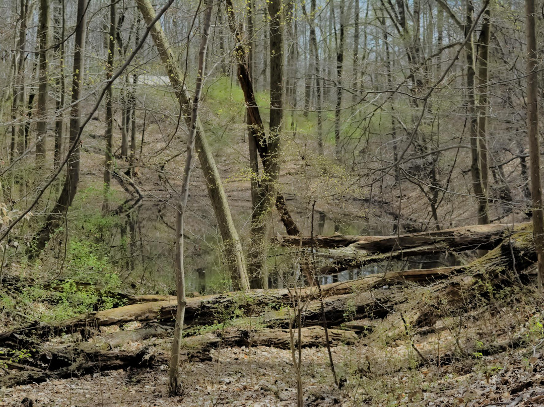 Iron Hill Park-纽瓦克必去景点