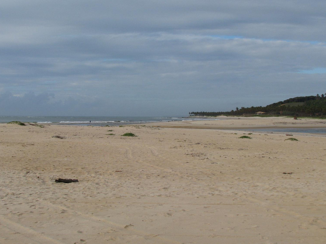 Pituba Beach-Coruripe必去景点