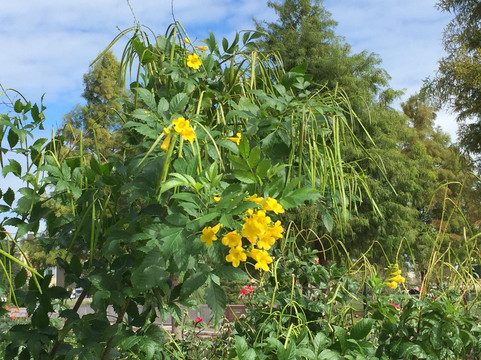 Mueller Lake Park-奥斯丁必去景点