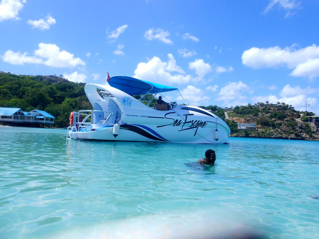 Sea Escape Tours-乔治城必去景点