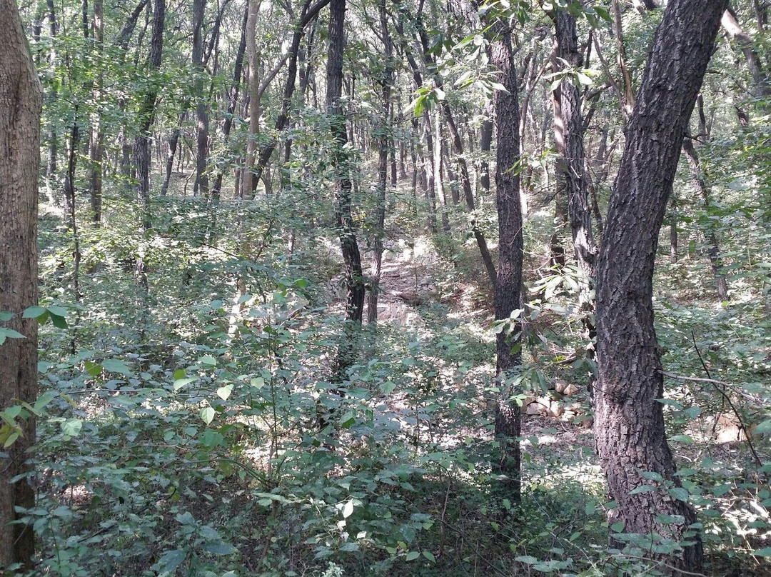 皇藏峪-萧县必去景点