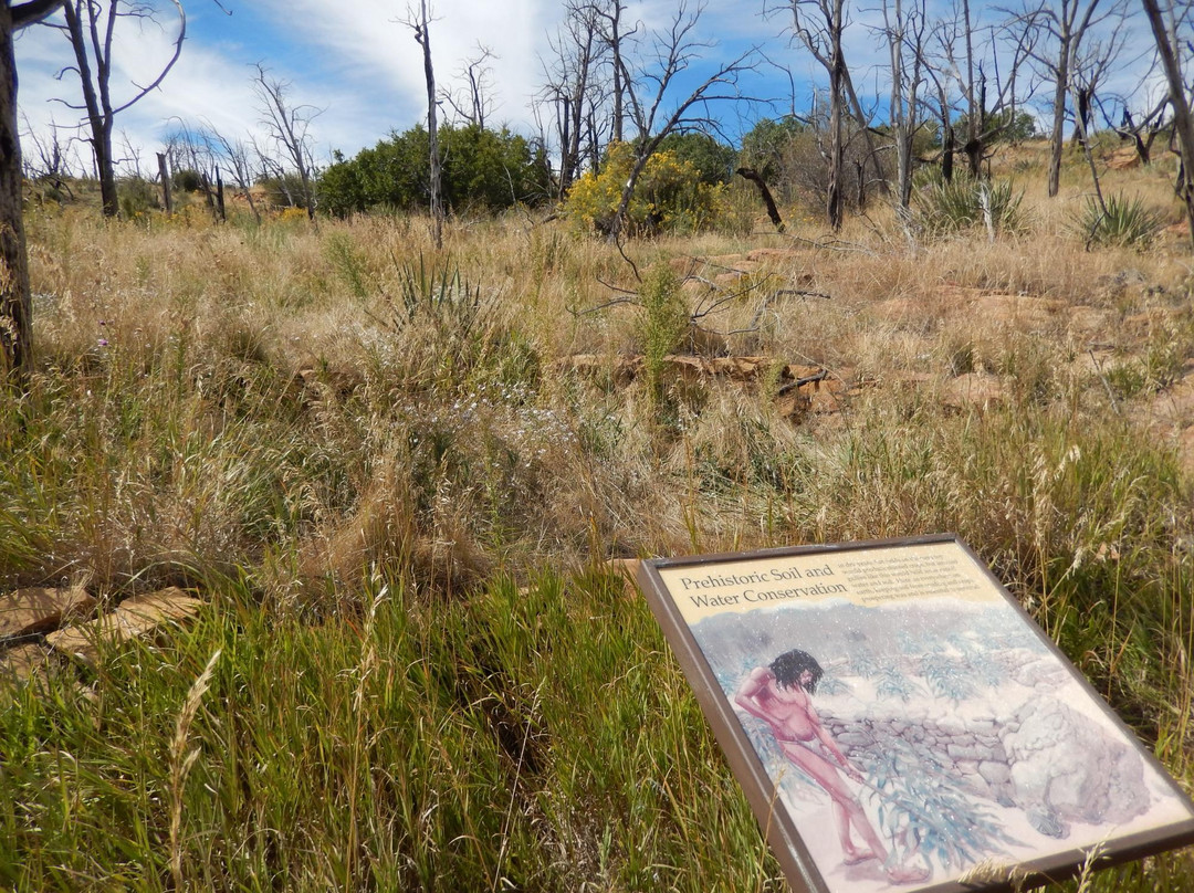 Farming Terraces-梅萨维德国家公园必去景点