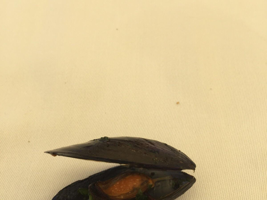 Hotel Las Brisas de Ibiza主图