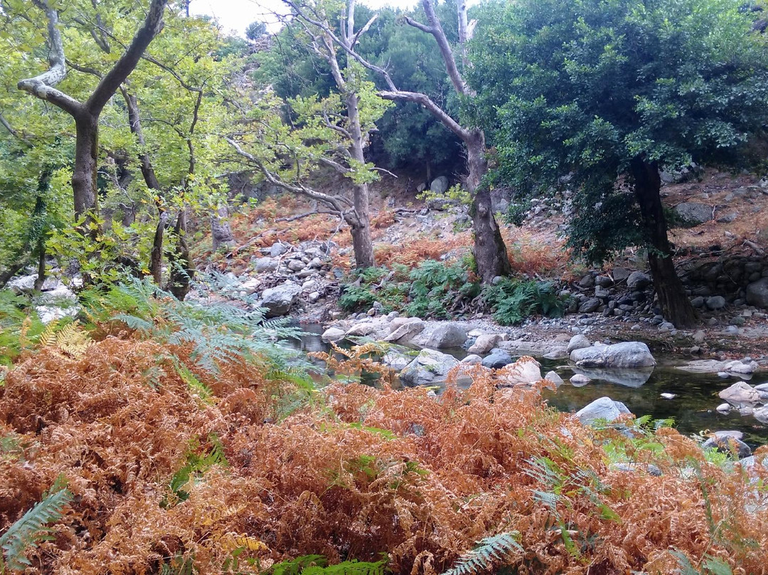 Fonias Gorge-Samothráki必去景点