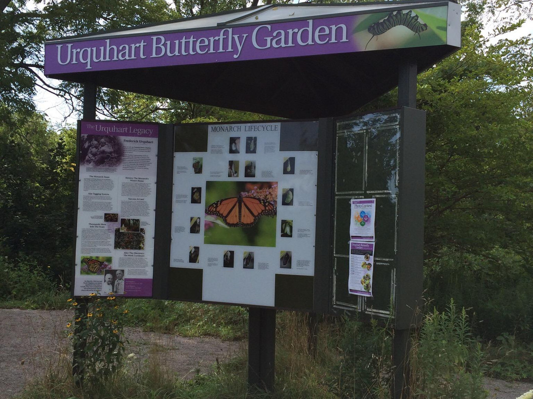 Urquhart Butterfly Garden景点图片