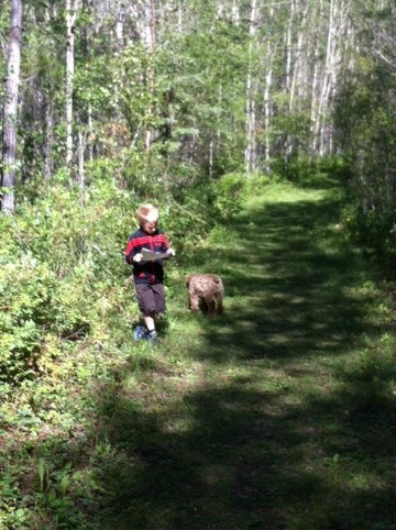 省立小奴湖公园-奴湖必去景点