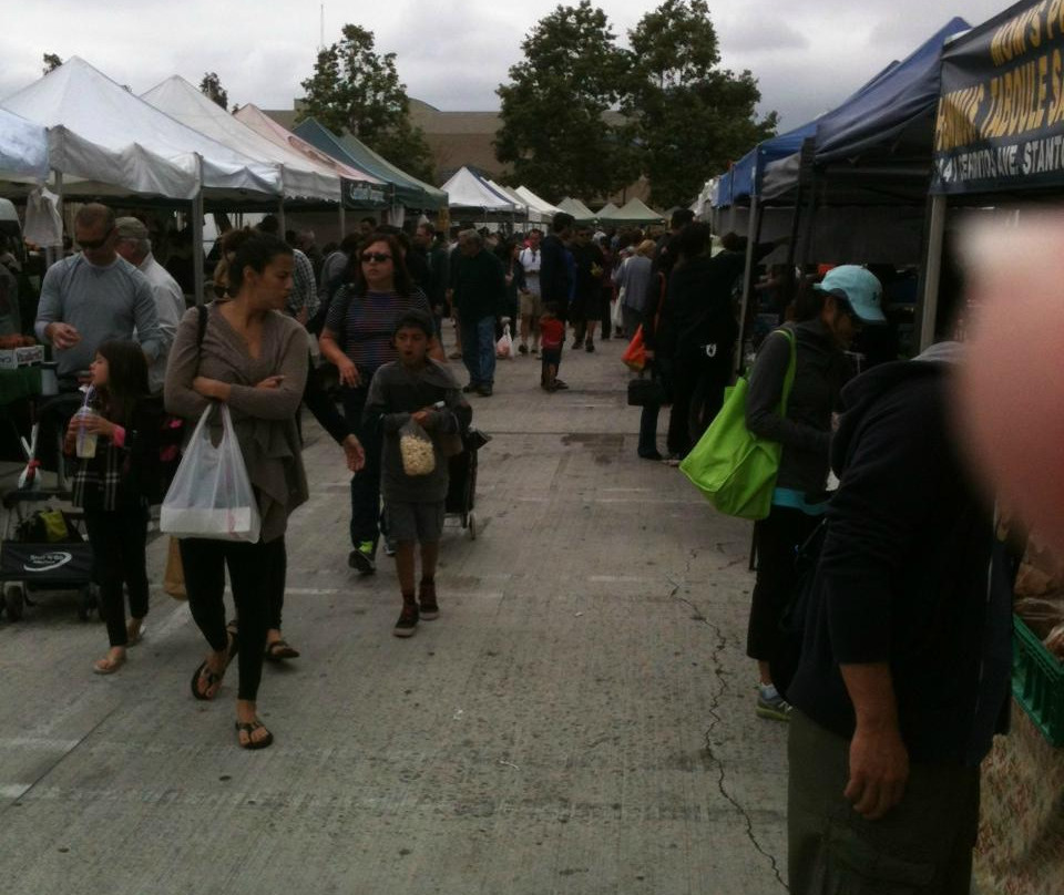 Wilson Park-托伦斯必去景点