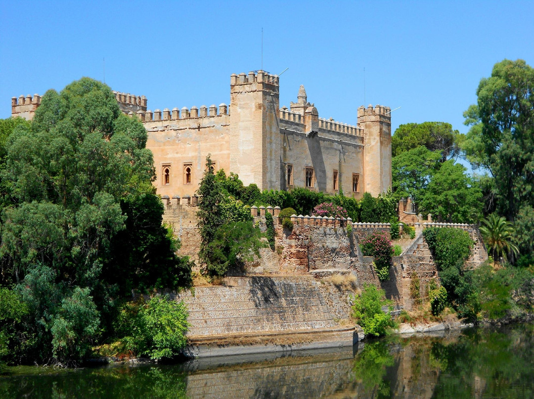 Castillo de Malpica景点图片