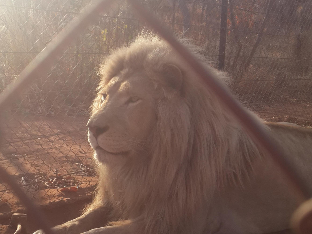 Jugomaro Predator Park-Groblersdal必去景点