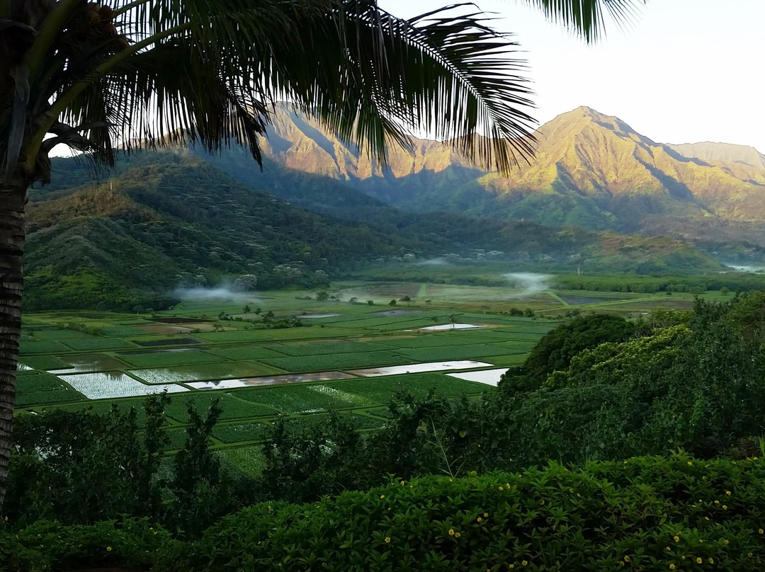 Hanalei Valley Lookout-普林斯维尔必去景点