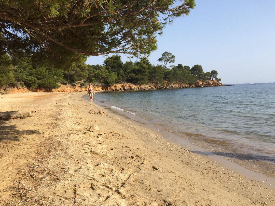 Plage du Pellegrin-La Londe Les Maures必去景点