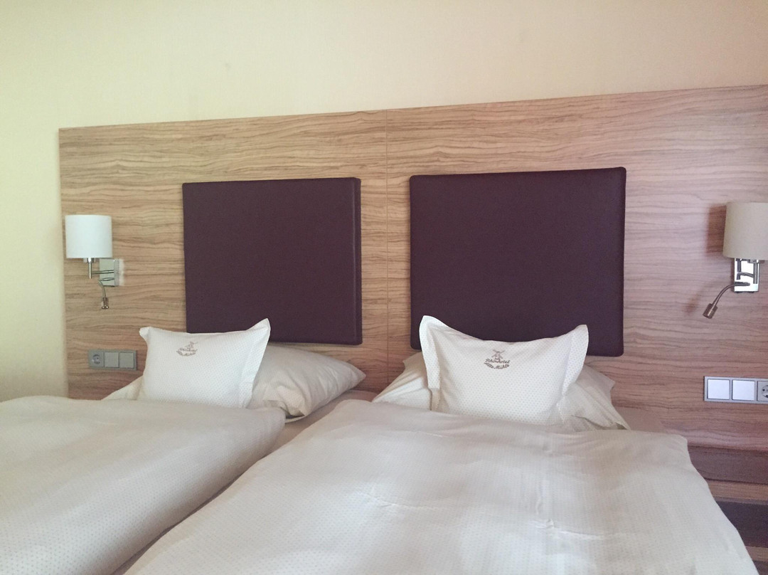 Rhönhotel Alte Mühle主图