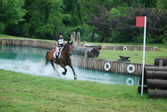 Horse Park Of New Jersey景点图片