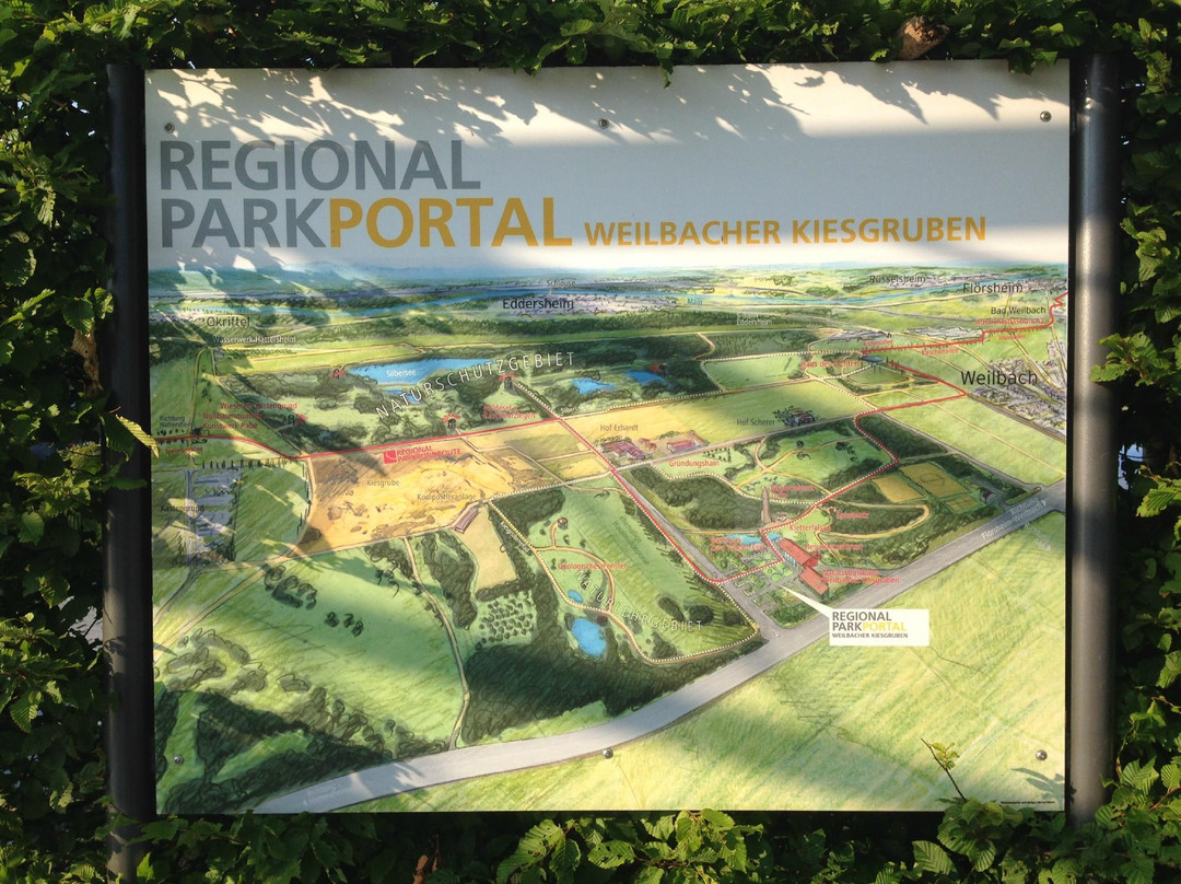 Weilbacher Kiesgruben-Florsheim必去景点