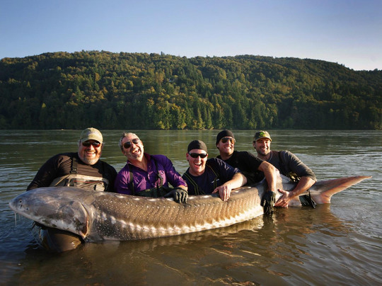 The Fraser River's Edge Guiding & Tours-奇利瓦克必去景点