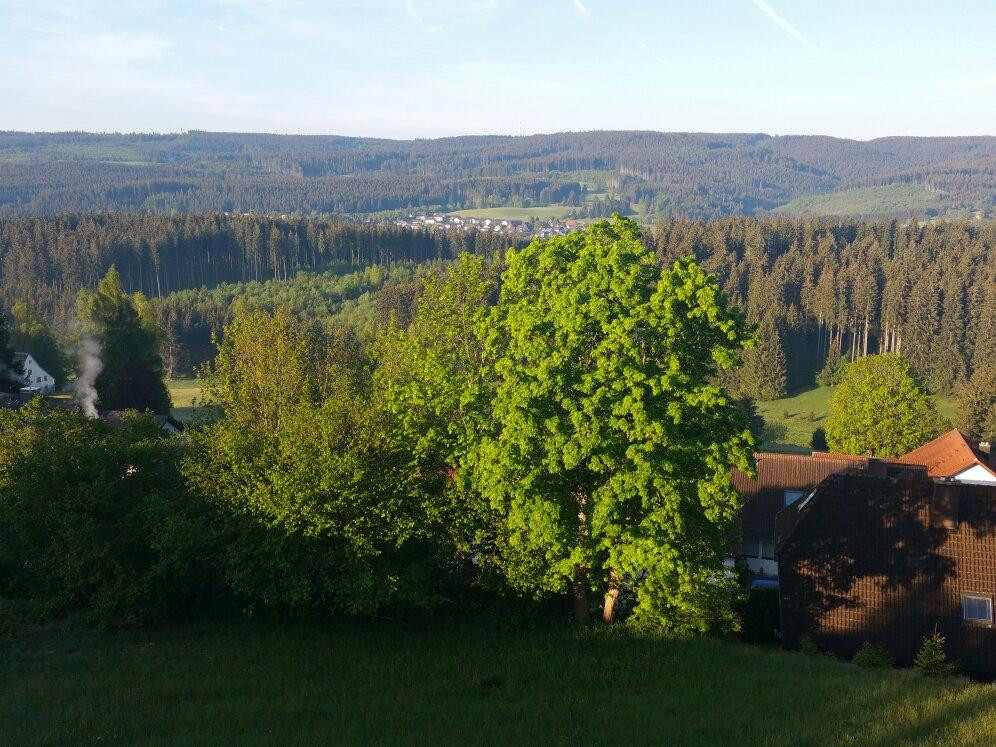 Schwarzwaldgasthof zum Pfauen