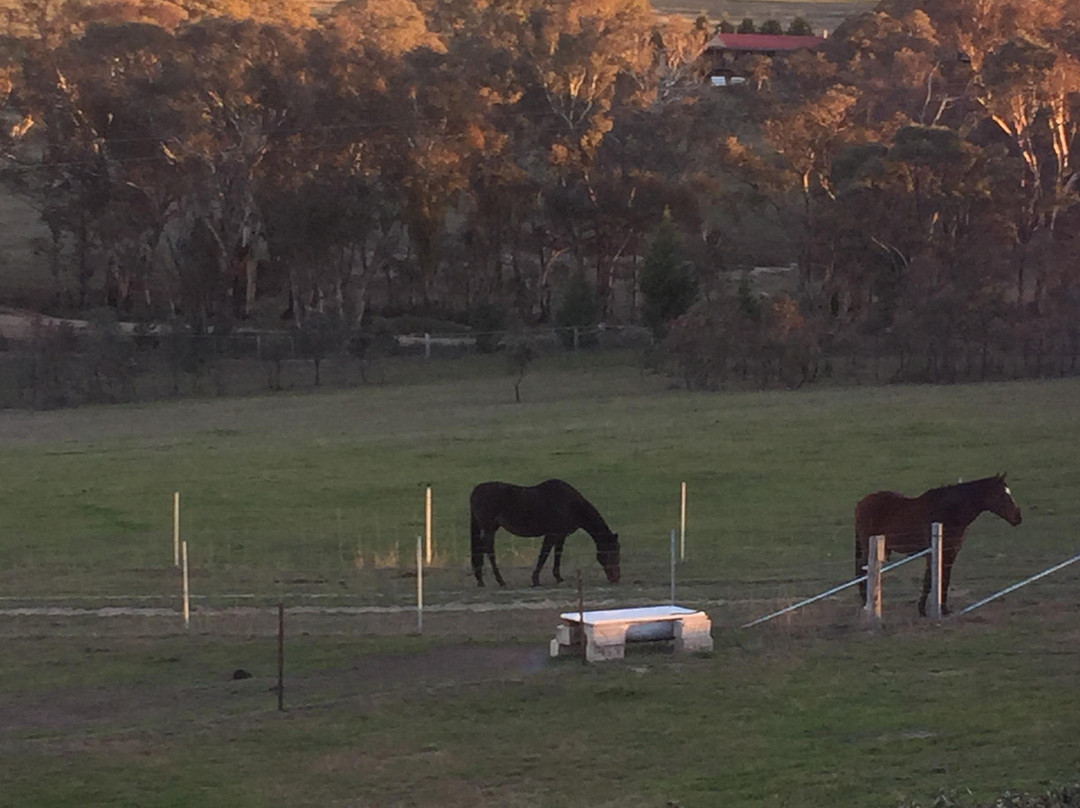 Elizabeth Manor House主图