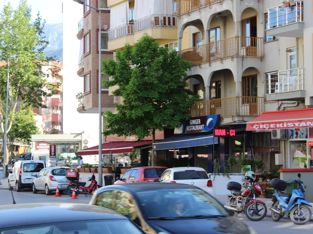Koca Usta Etli Ekmek