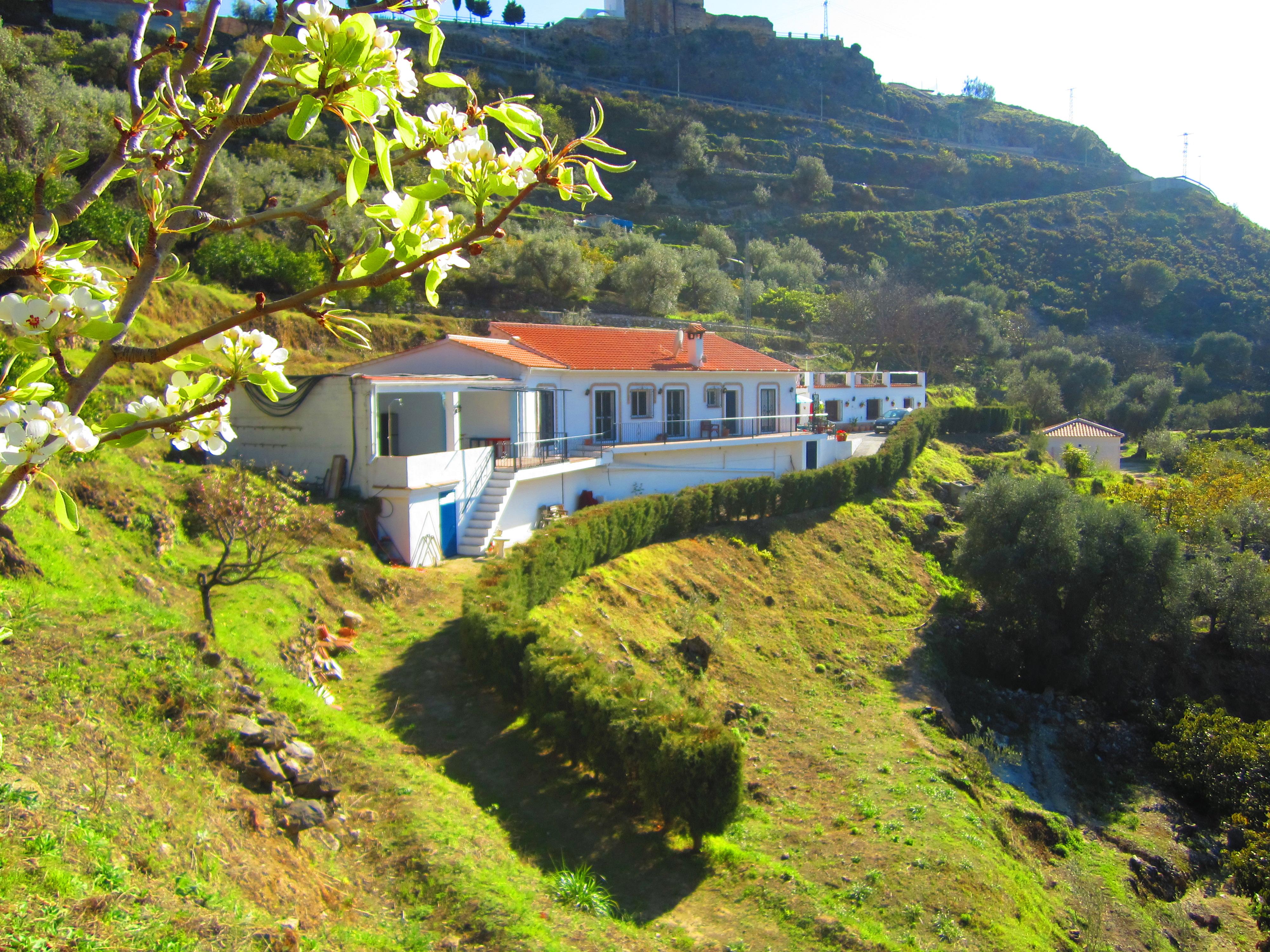 Finca Floretta-官方