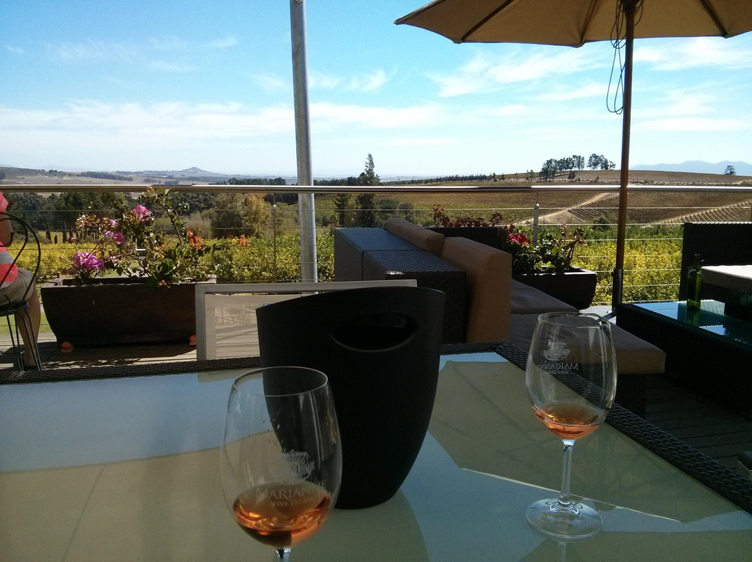 Marianne Wine Estate-斯泰伦博斯必去景点