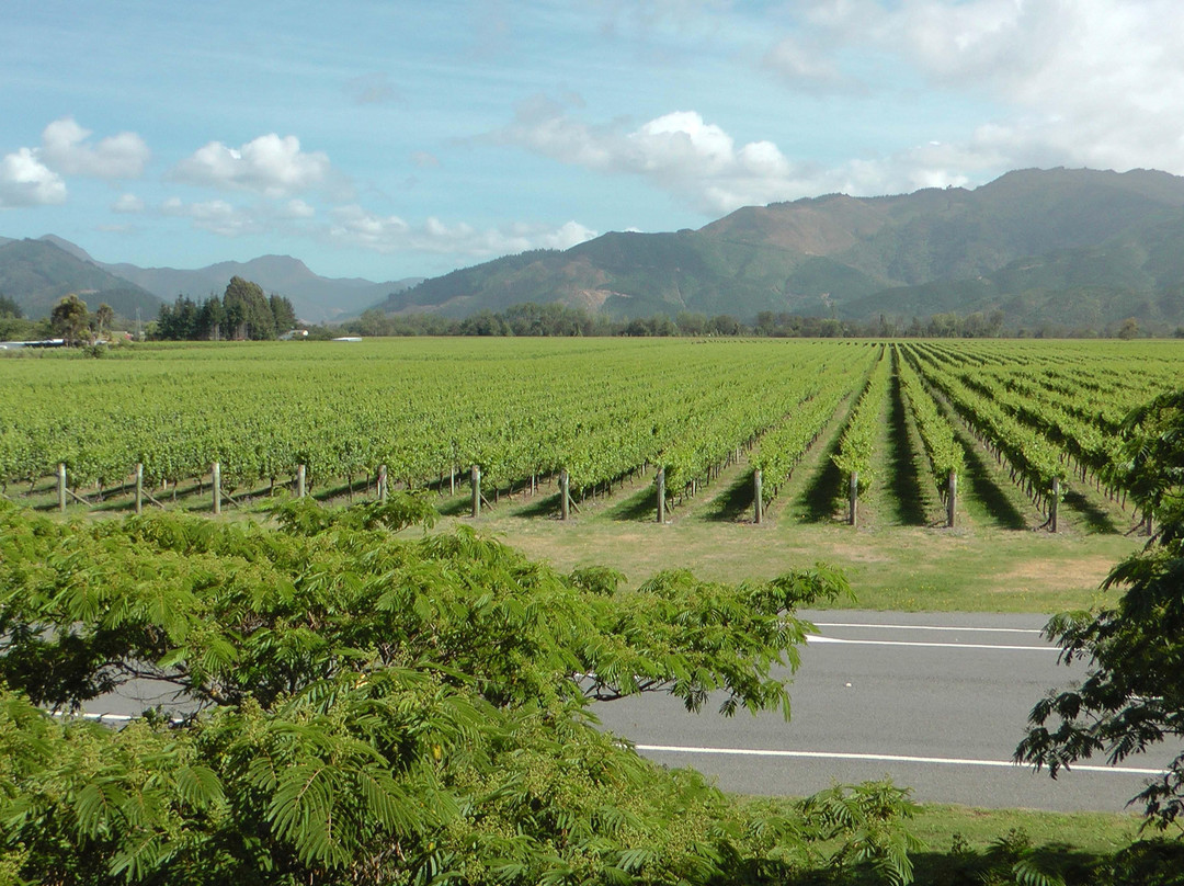 Marlborough Wine Tours-布伦海姆必去景点