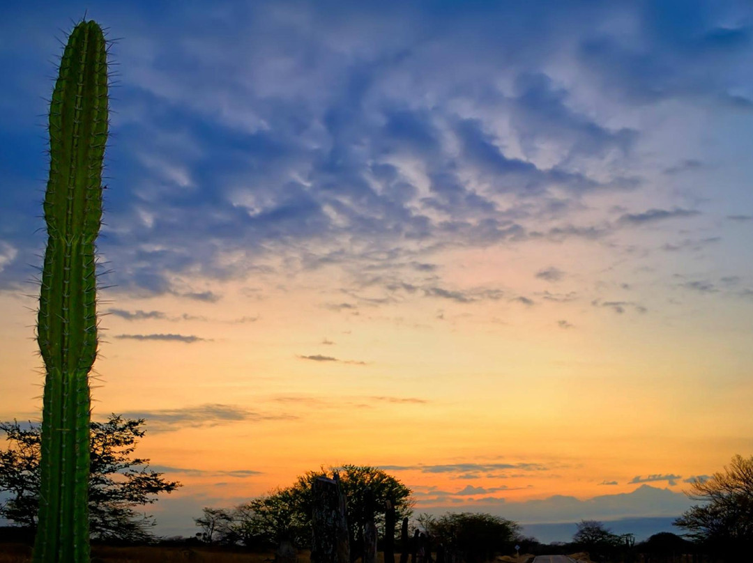 Paseo Vallenato Tour - Day Tours-巴耶杜帕尔必去景点