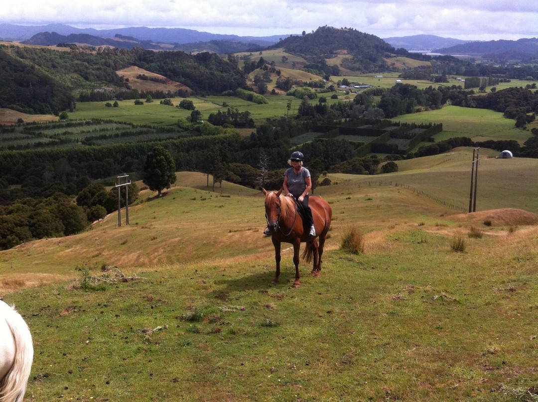 Rangihau Ranch-Coroglen必去景点