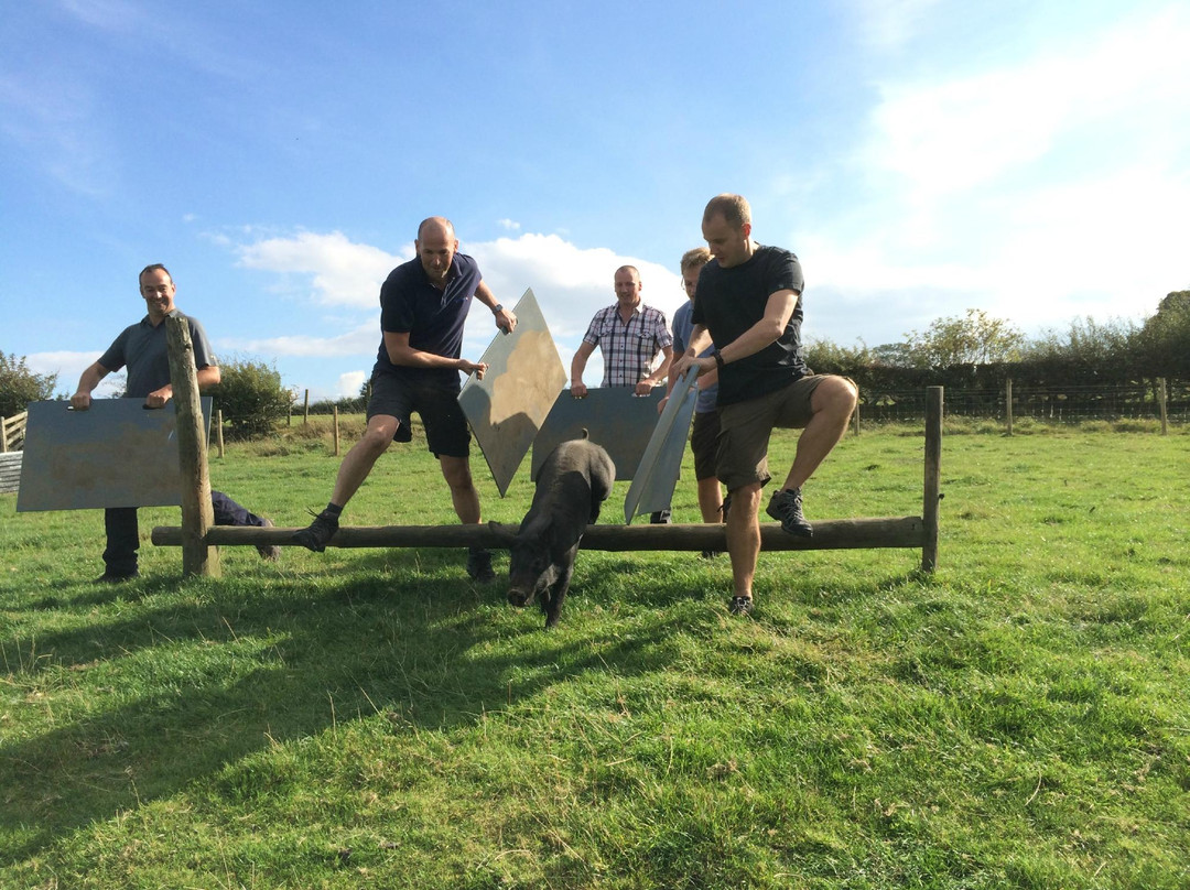 Farm Adventure Yorkshire景点图片
