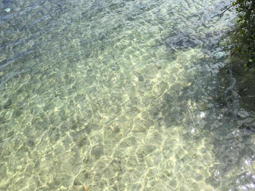 James A. Rutherford Park-博卡拉顿必去景点