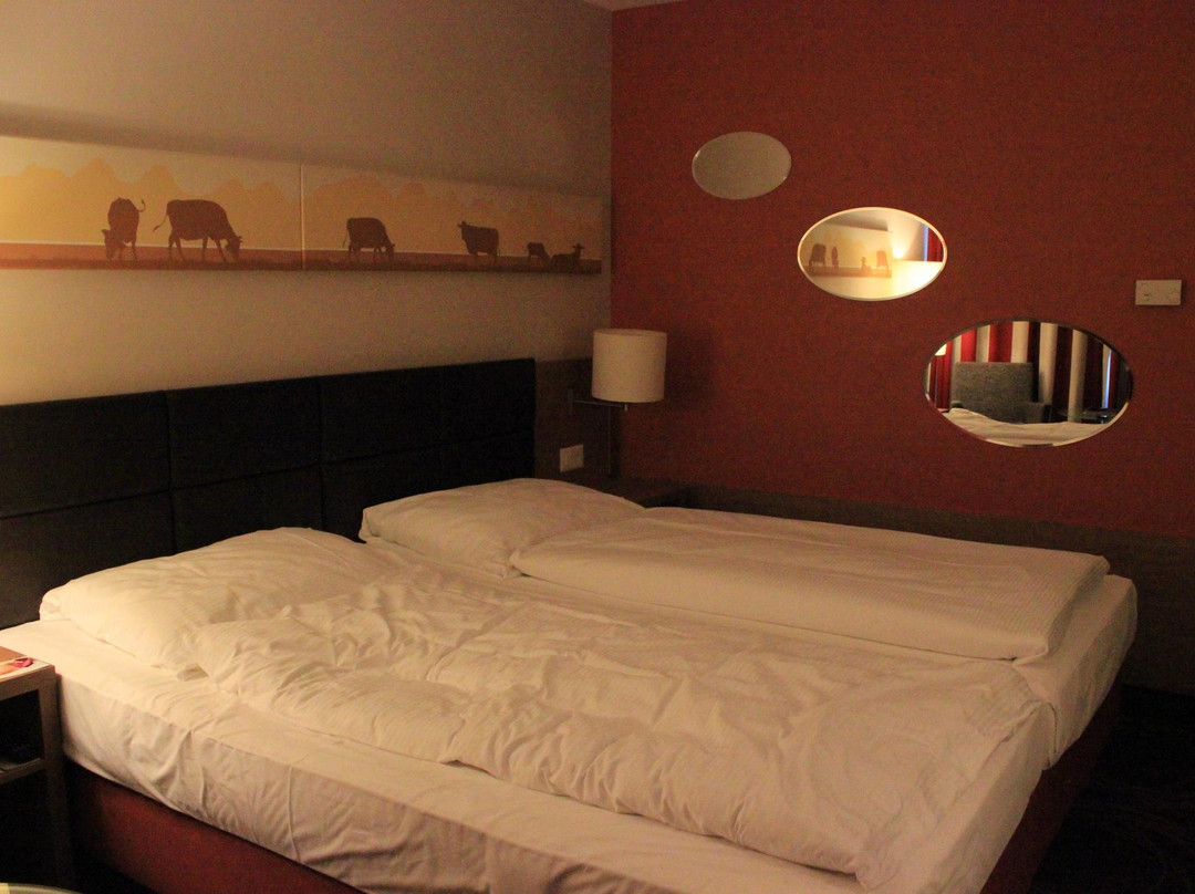 Hotel Flora Lucerne主图